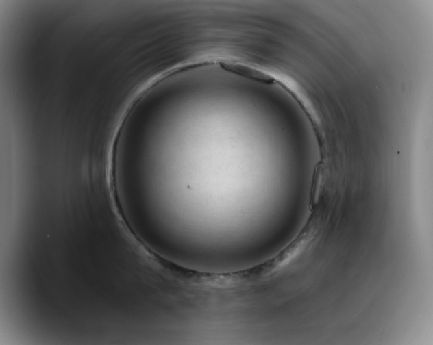 X0000090730815200707201407