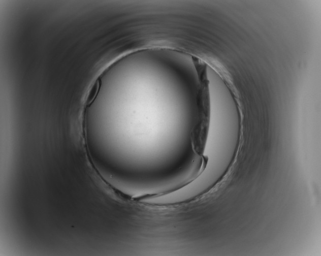X0000090730816200707201407
