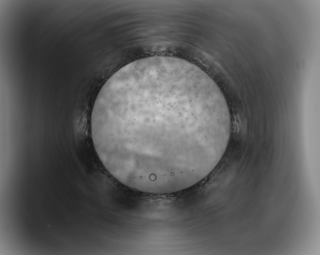 X0000090730820200707201407