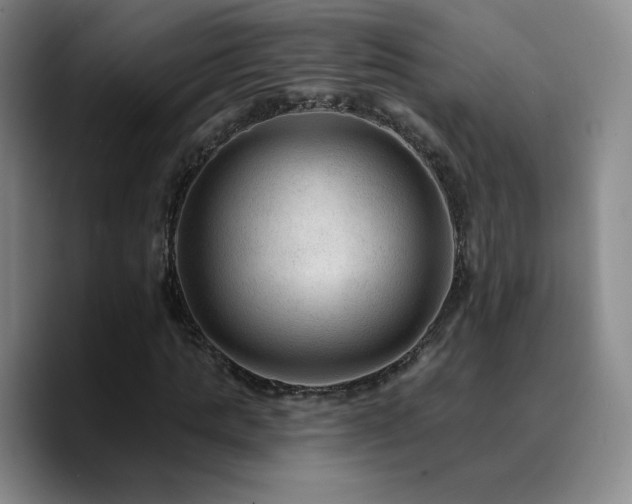 X0000090730821200707201407