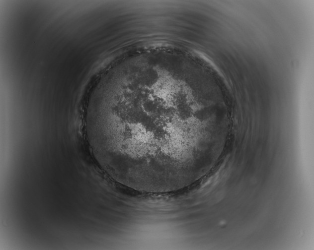 X0000090730823200707201407