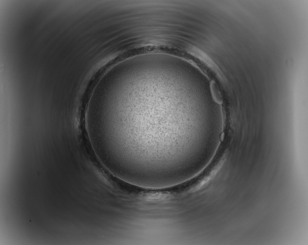 X0000090730826200707201407