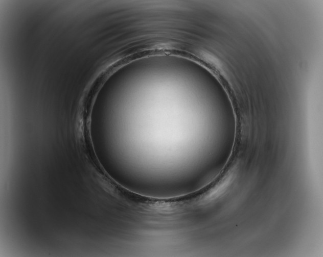 X0000090730827200707201407