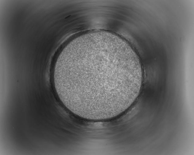 X0000090730828200707201407