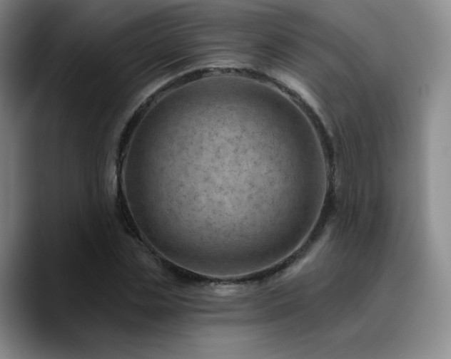 X0000090730829200707201407
