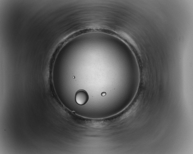 X0000090730831200707201407