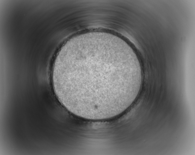 X0000090730832200707201407