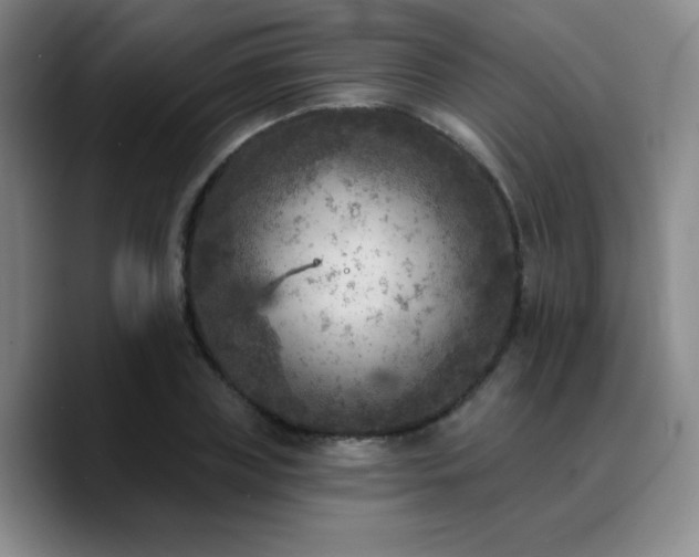 X0000090730835200707201407