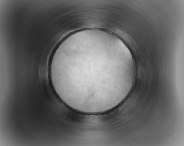 X0000090730836200707201407