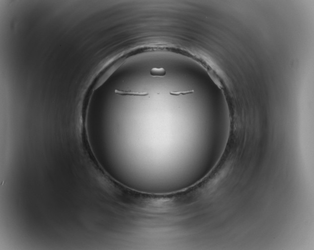 X0000090730837200707201407