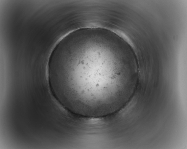 X0000090730839200707201407