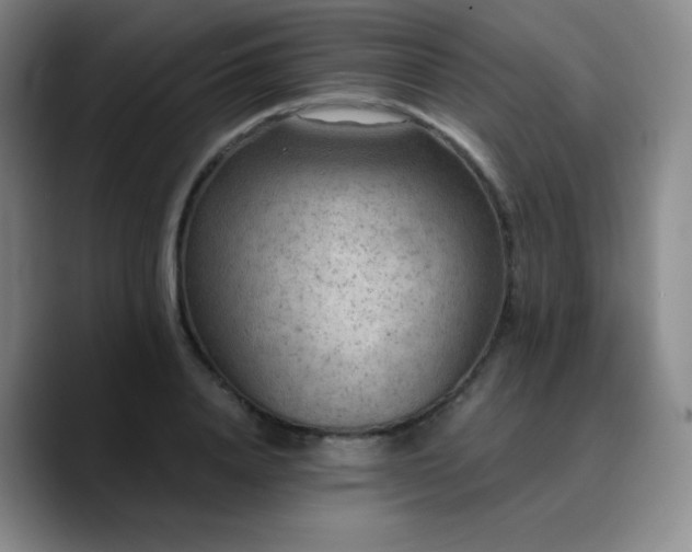 X0000090730840200707201407