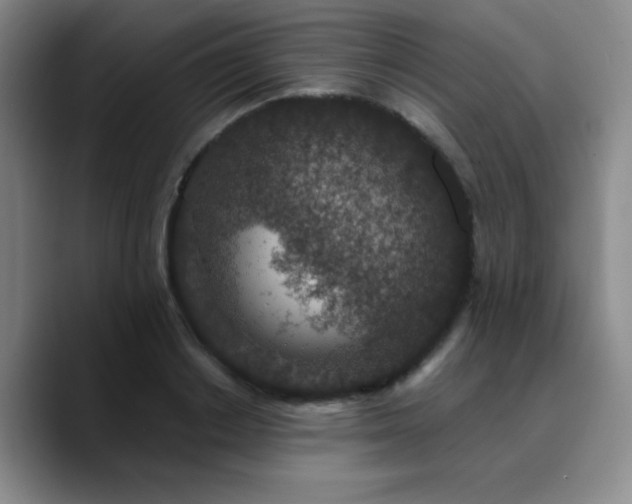 X0000090730842200707201407