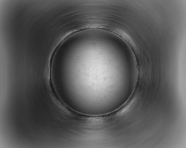 X0000090730844200707201407