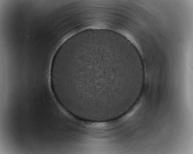 X0000090730845200707201407