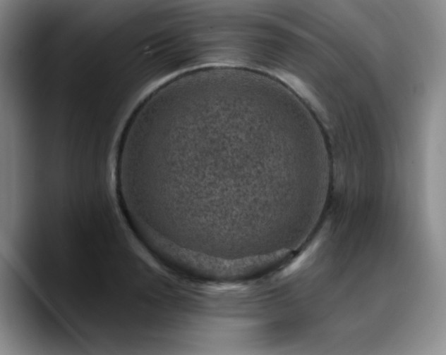 X0000090730846200707201407