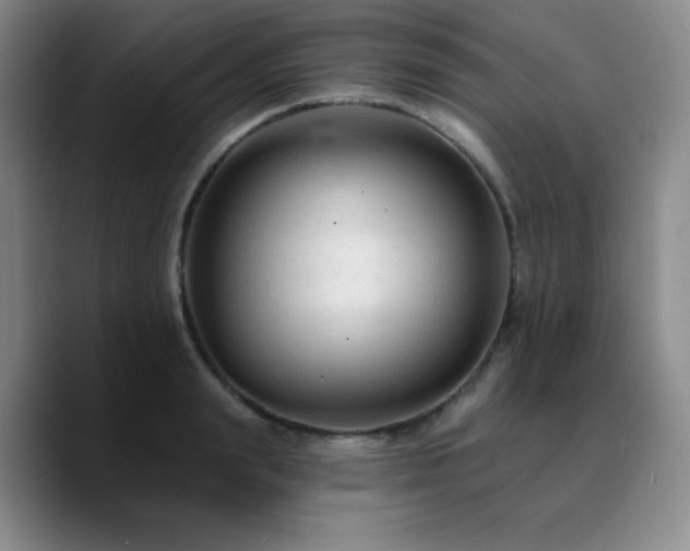 X0000090730847200707201407