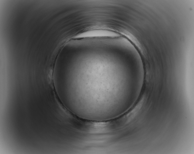 X0000090730849200707201407