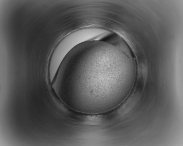 X0000090730850200707201407