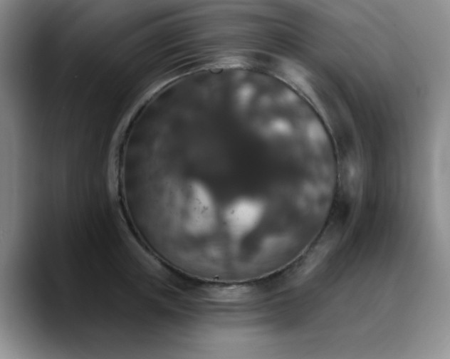 X0000090730851200707201407