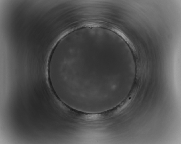 X0000090730853200707201407