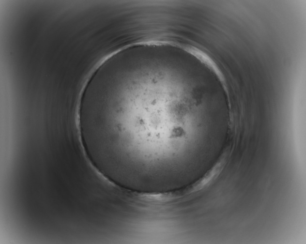 X0000090730855200707201407