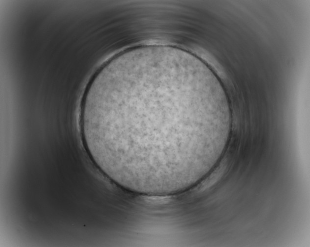 X0000090730856200707201407