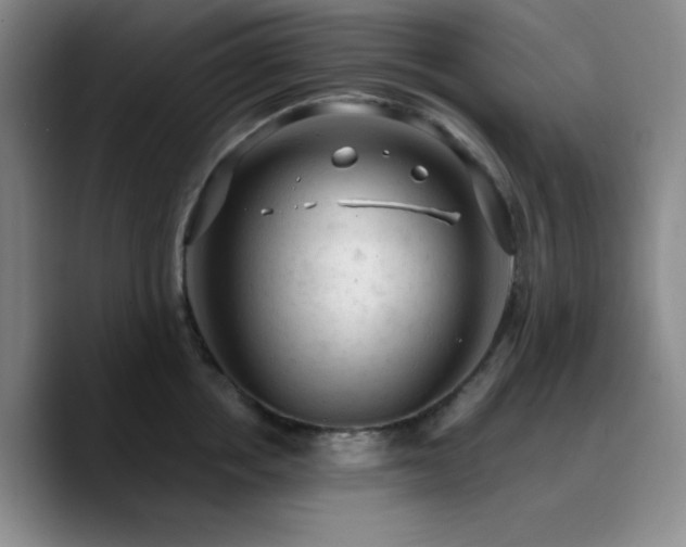 X0000090730858200707201407