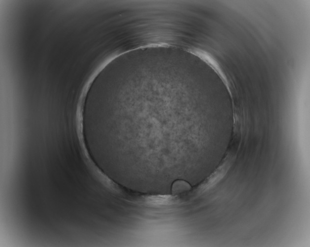 X0000090730859200707201407