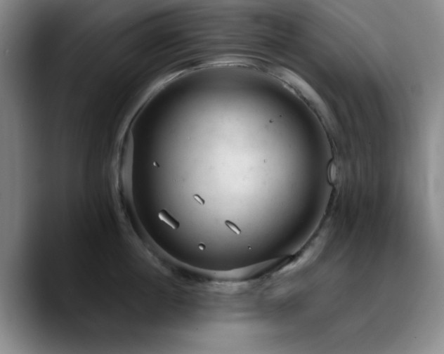 X0000090730860200707201407
