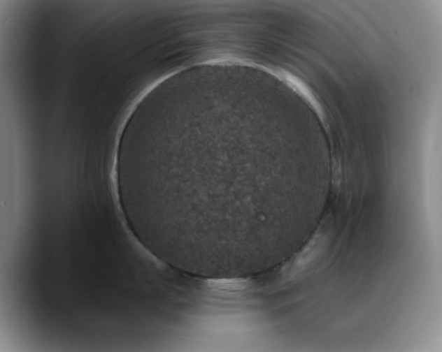 X0000090730863200707201407