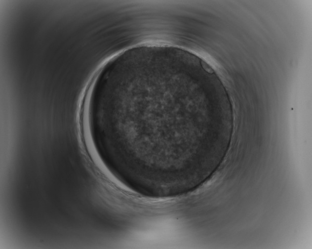 X0000090730864200707201407