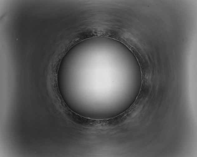 X0000090730865200707201407