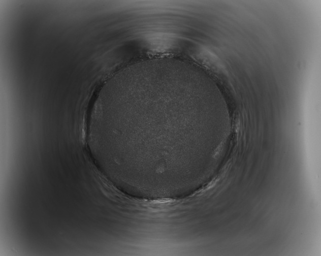 X0000090730868200707201407