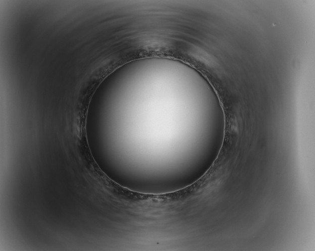 X0000090730869200707201407