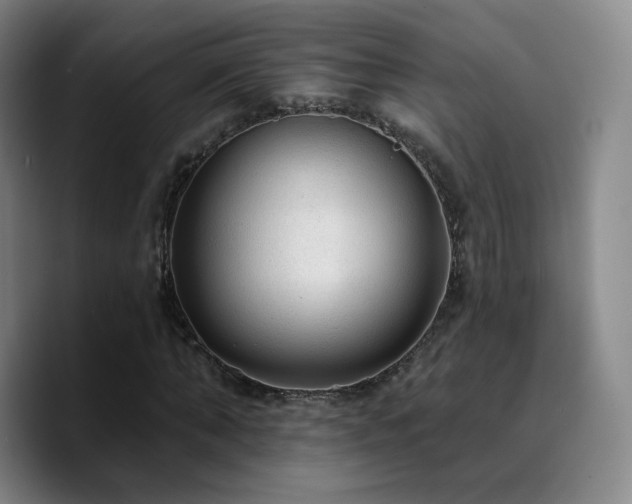 X0000090730870200707201407