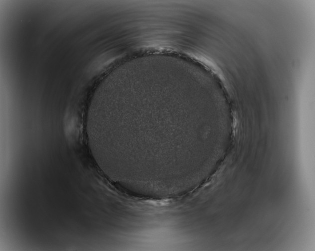 X0000090730872200707201407
