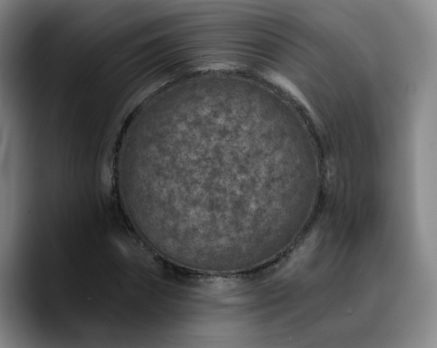 X0000090730874200707201407