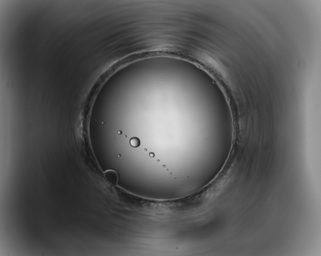 X0000090730875200707201406