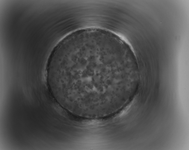 X0000090730879200707201406