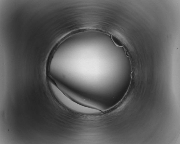 X0000090730884200707201406