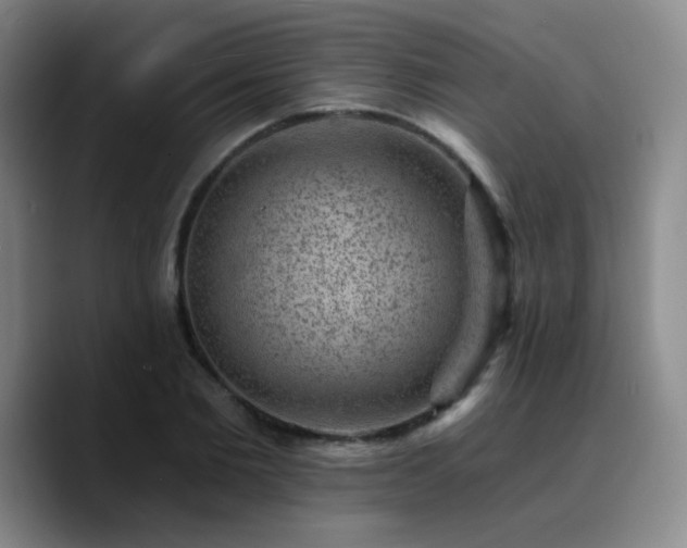 X0000090730885200707201406