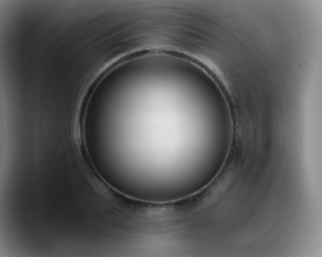 X0000090730887200707201406
