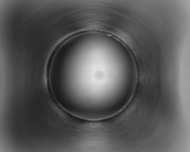 X0000090730888200707201406