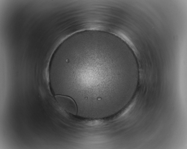 X0000090730891200707201406
