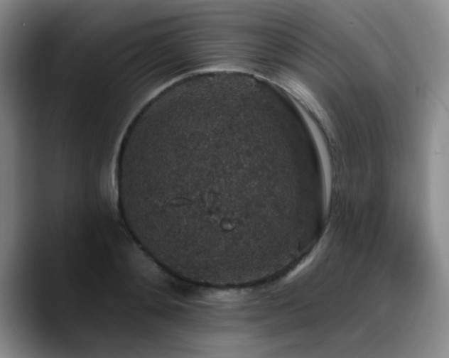 X0000090730892200707201406