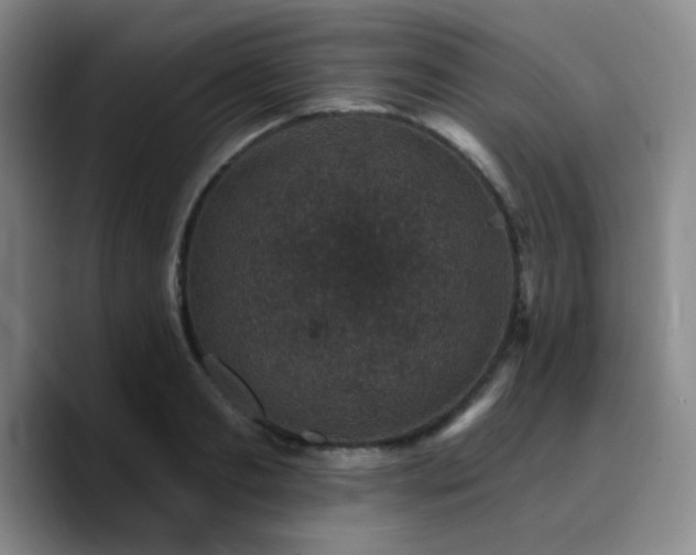 X0000090730893200707201406