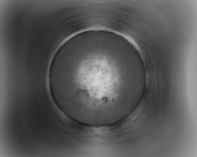 X0000090730895200707201406