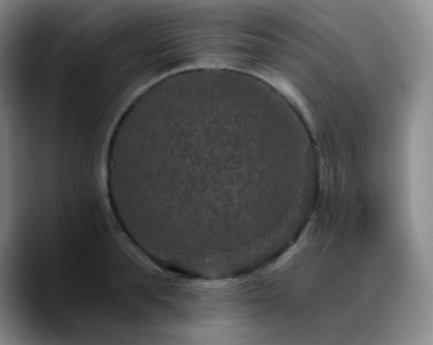 X0000090730896200707201406