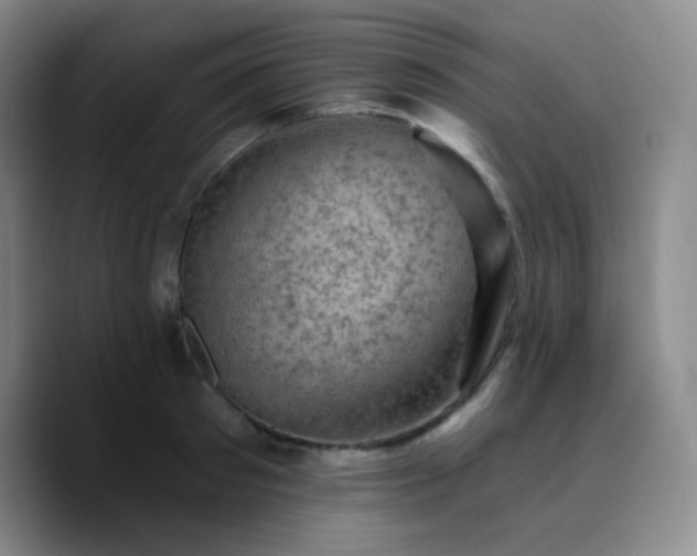 X0000090730897200707201406